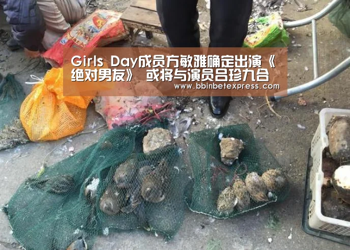 Girls Day成员方敏雅确定出演《绝对男友》 或将与演员吕珍九合作|BBIN下载,BBIN真人,BBIN百家乐,BBIN赛事(图2) BBIN下载,BBIN真人,BBIN百家乐,BBIN赛事