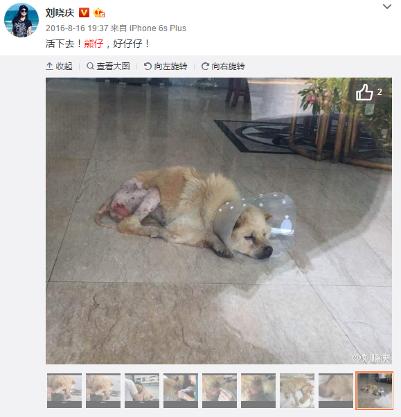BBIN下载，BBIN真人，BBIN百家乐，BBIN赛事