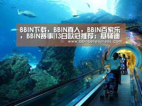 BBIN下载,BBIN真人,BBIN百家乐,BBIN赛事|13日欧冠推荐:基辅迪纳摩VS布鲁日(图1) BBIN下载,BBIN真人,BBIN百家乐,BBIN赛事